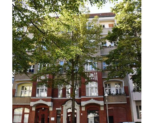 Zw. Q-Damm + Westfälische Str.! 
EB 1/25 - Nur Büro und Ähnliche!
Schöne Altbauräume!