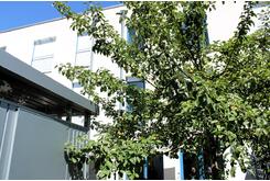 Apfelbaum
