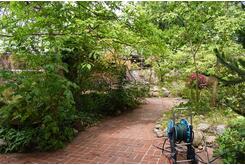 Im Garten