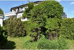 Natural shade arbor
